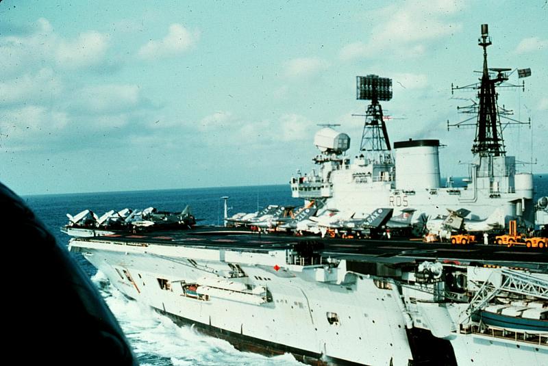 Eagle from port wait