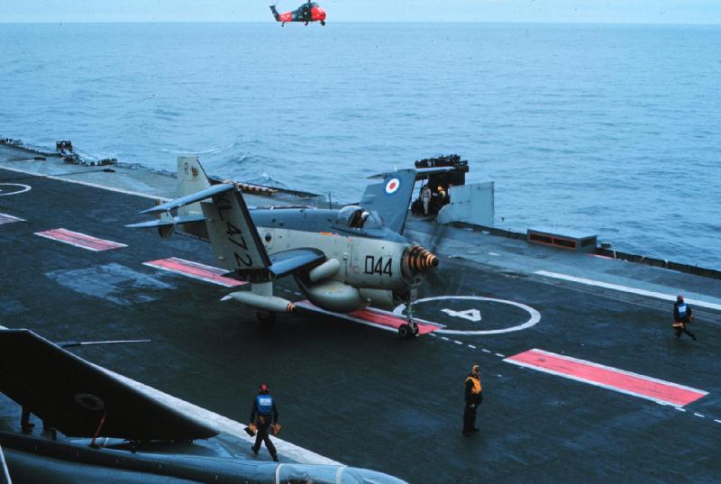 Gannet