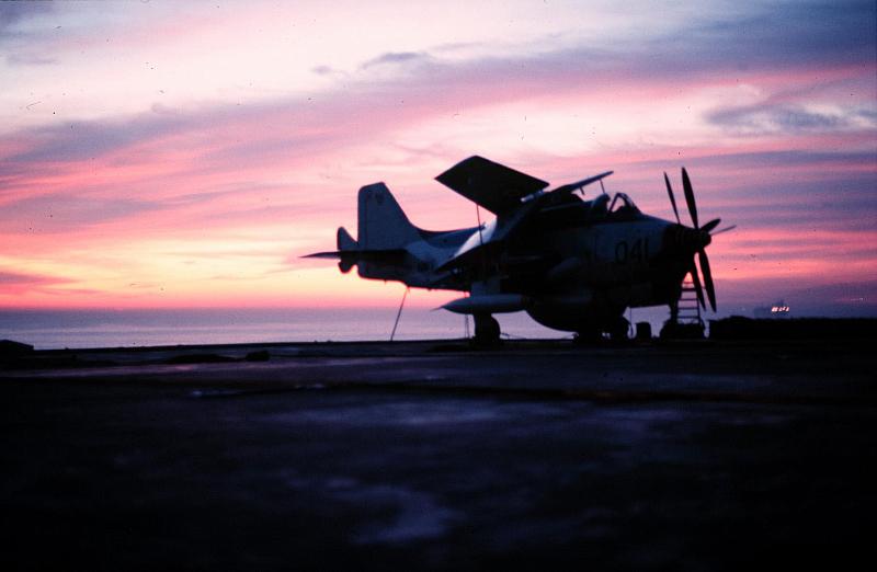 Sunrise backlit Gannet Ark Royal